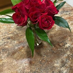 Meet your Posher, Fredibell